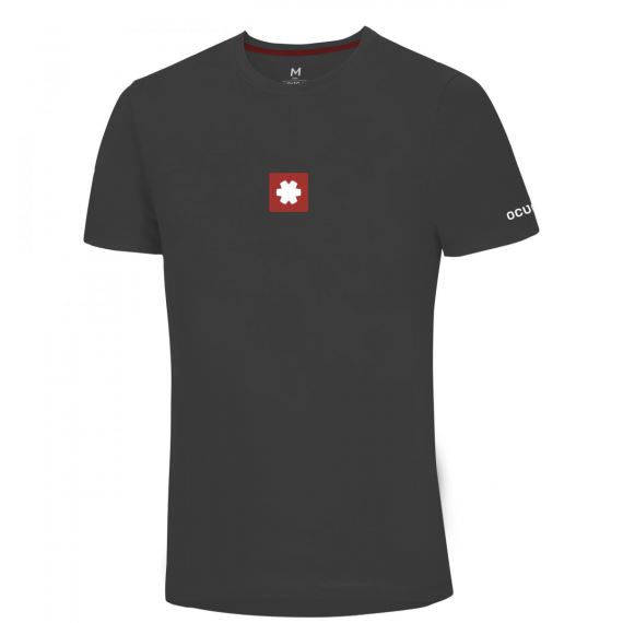 Pánské tričko s krátkým rukávem a logem Ocún Logo T periscope
