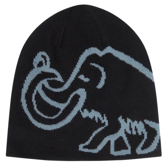 Čepice Mammut Logo Beanie Reversible black-strata