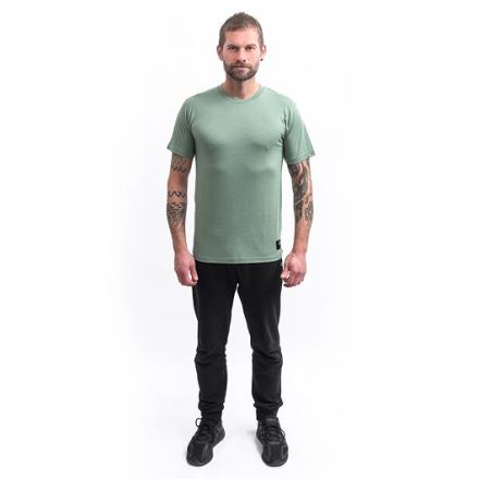 Pánské triko kr.rukáv Sensor MERINO CORDURA basil green (3)