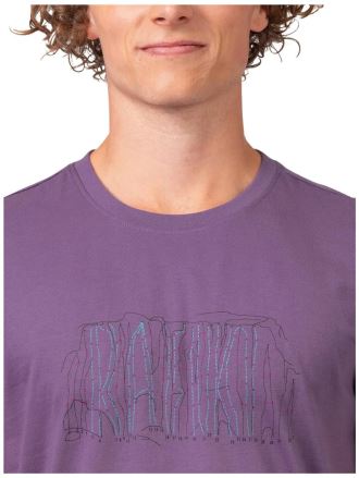 Pánské tričko Rafiki ARCOS montana grape (6)