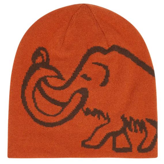 Čepice Mammut Logo Beanie Reversible autumn larice-soil