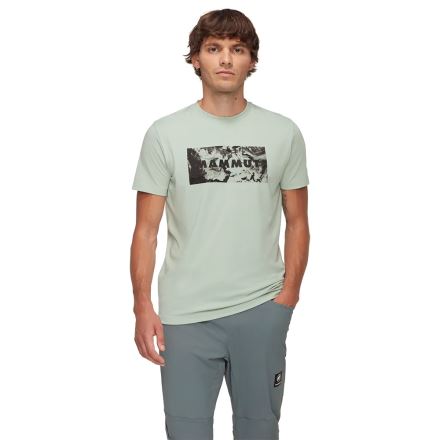 Pánské tričko Mammut Trovat T-Shirt Logo silver sage (1)
