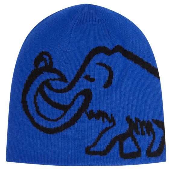 Čepice Mammut Logo Beanie Reversible eiger blue-black
