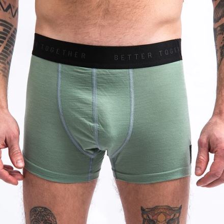 Pánské trenky Sensor MERINO CORDURAbasil green (1)