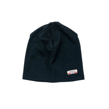 Čepice Devold Breeze Plus Merino 200 Beanie ink 58