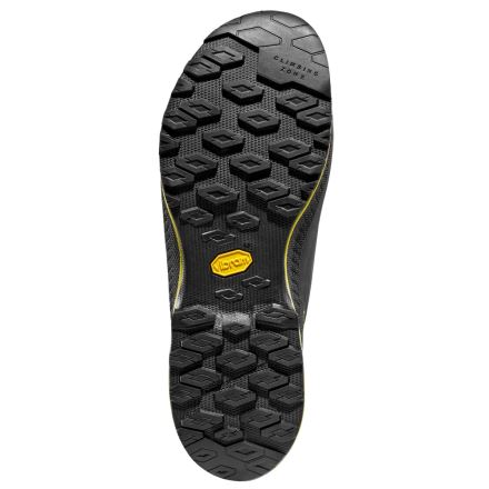Pánské nástupové boty La Sportiva TX4 Evo GTX Carbon/Bamboo (1)