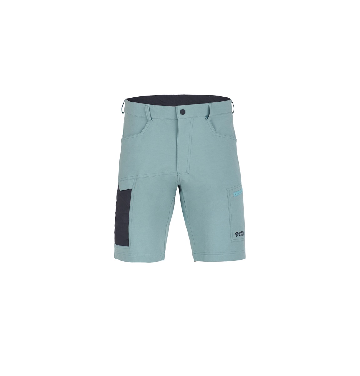 Pánské kraťasy Direct Alpine Mordor short arctic L