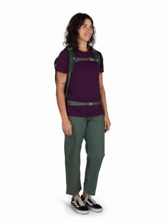 Turistický batoh Osprey Daylite Plus green belt/green canopy (3)
