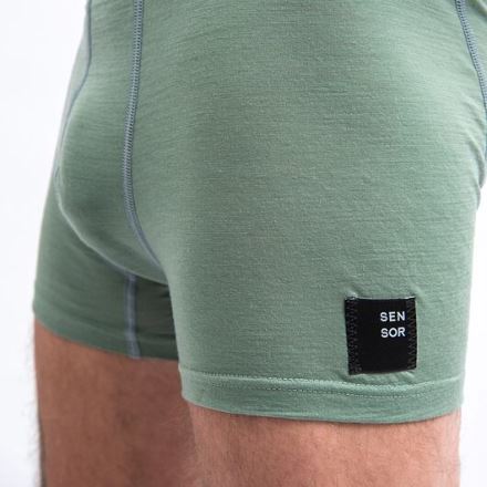 Pánské trenky Sensor MERINO CORDURAbasil green (3)