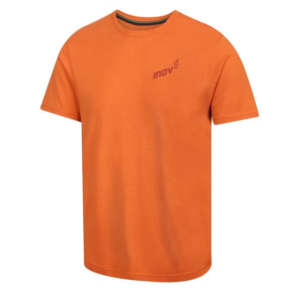 Pánské tričko Inov-8 Graphic Tee "Brand" M orange