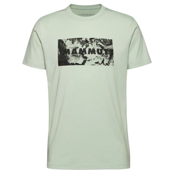 Pánské tričko Mammut Trovat T-Shirt Logo silver sage